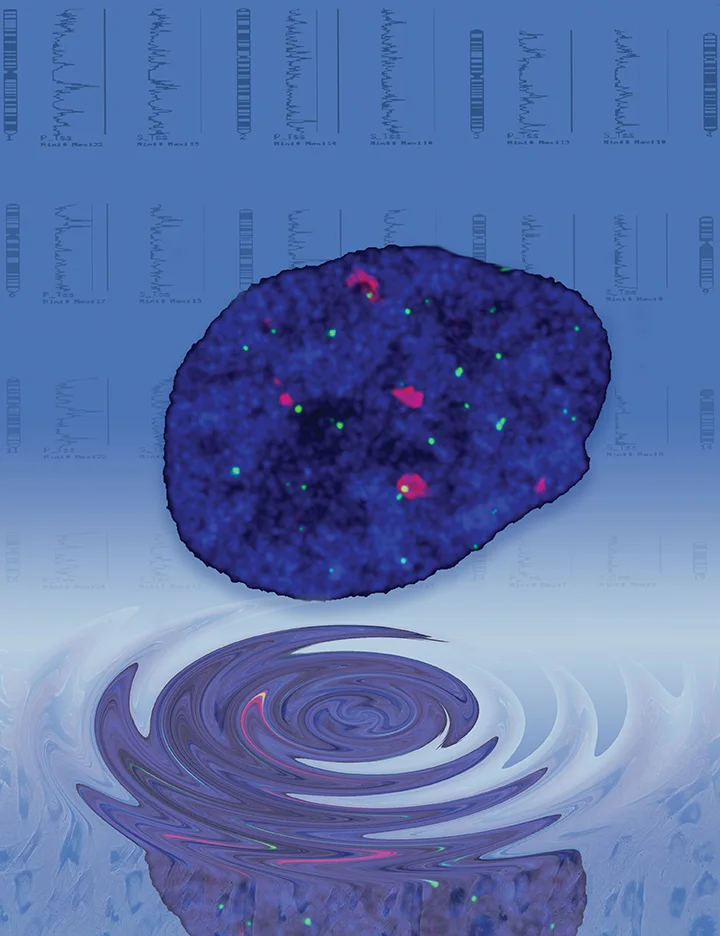 Defining Oncology and Aging