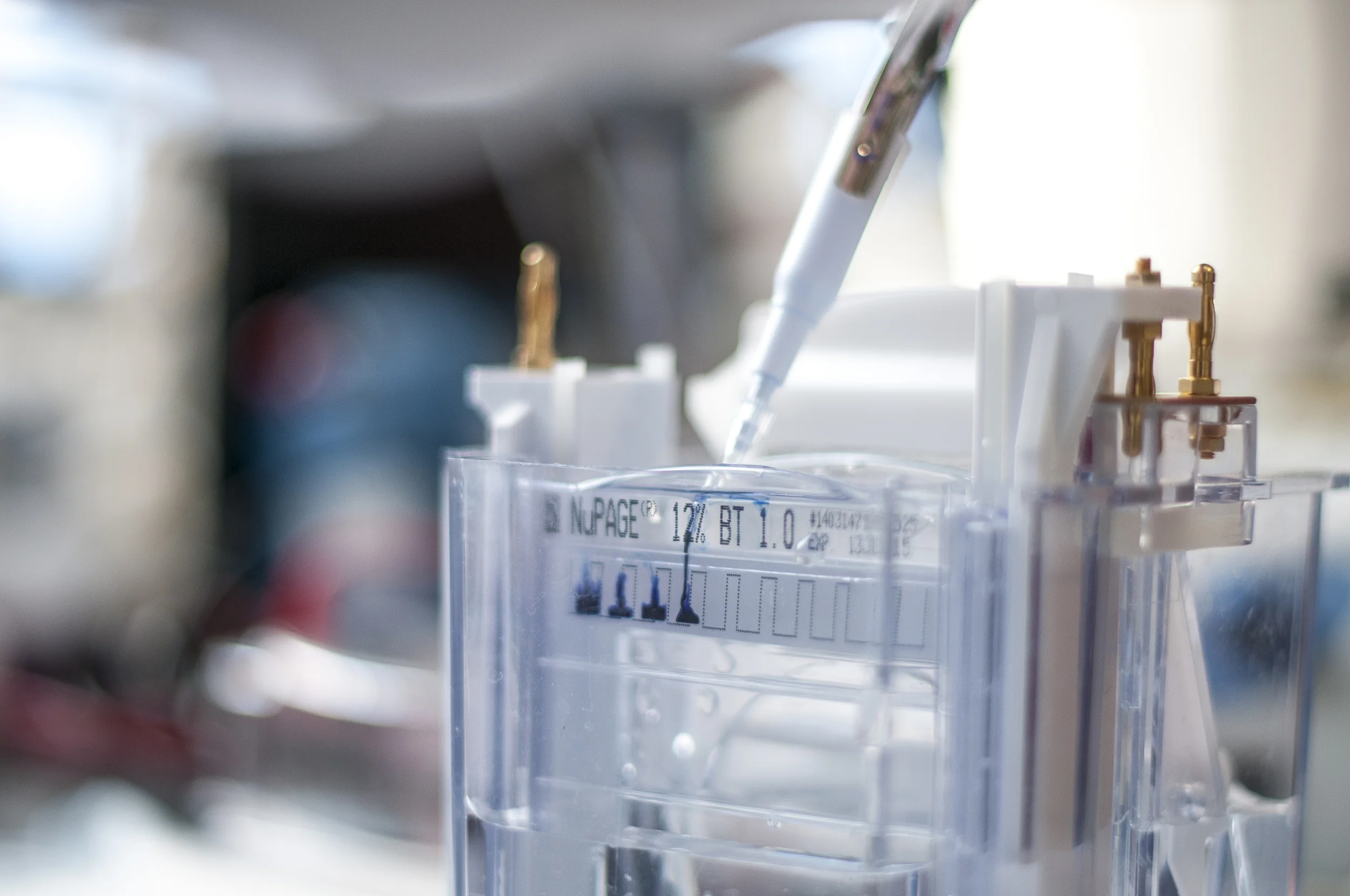 Cancer Cell Therapy Products