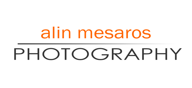 Alin Mesaros | Portrait and Commercial Photogarapher | Lafayette, Indiana