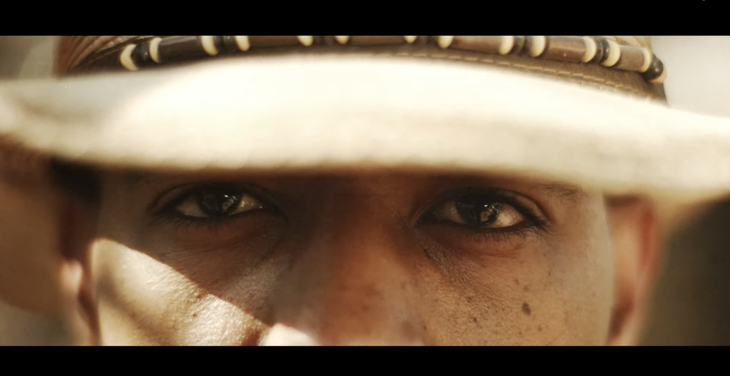 cowboy eyes closeup.png