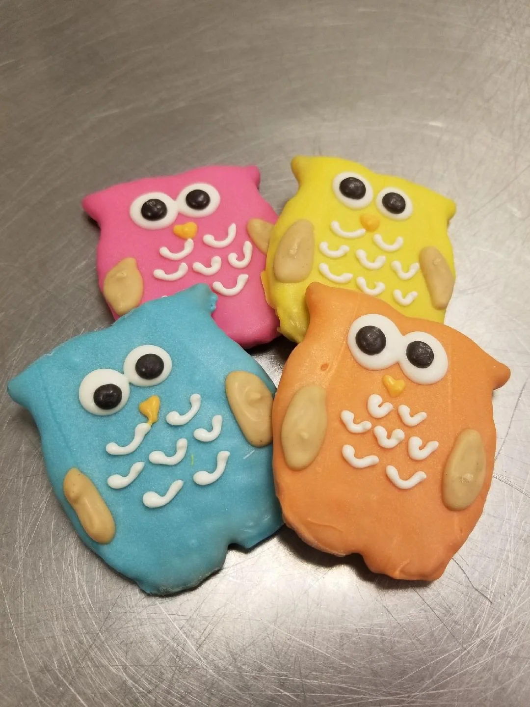 Owls.jpeg