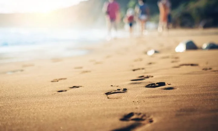 The Planning & Budgeting for Australia's Future Tourists