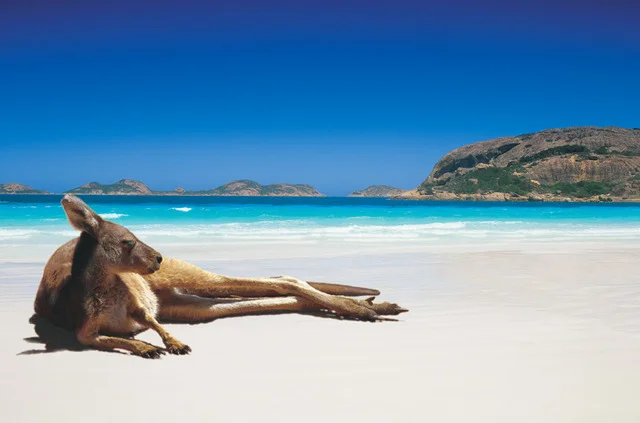 Australia’s Tourism, Second Quarter 2014