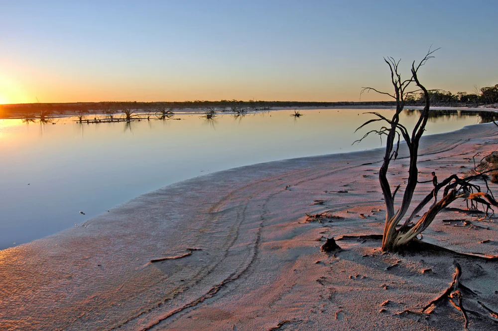 A Million Holidays In Our Own Backyard