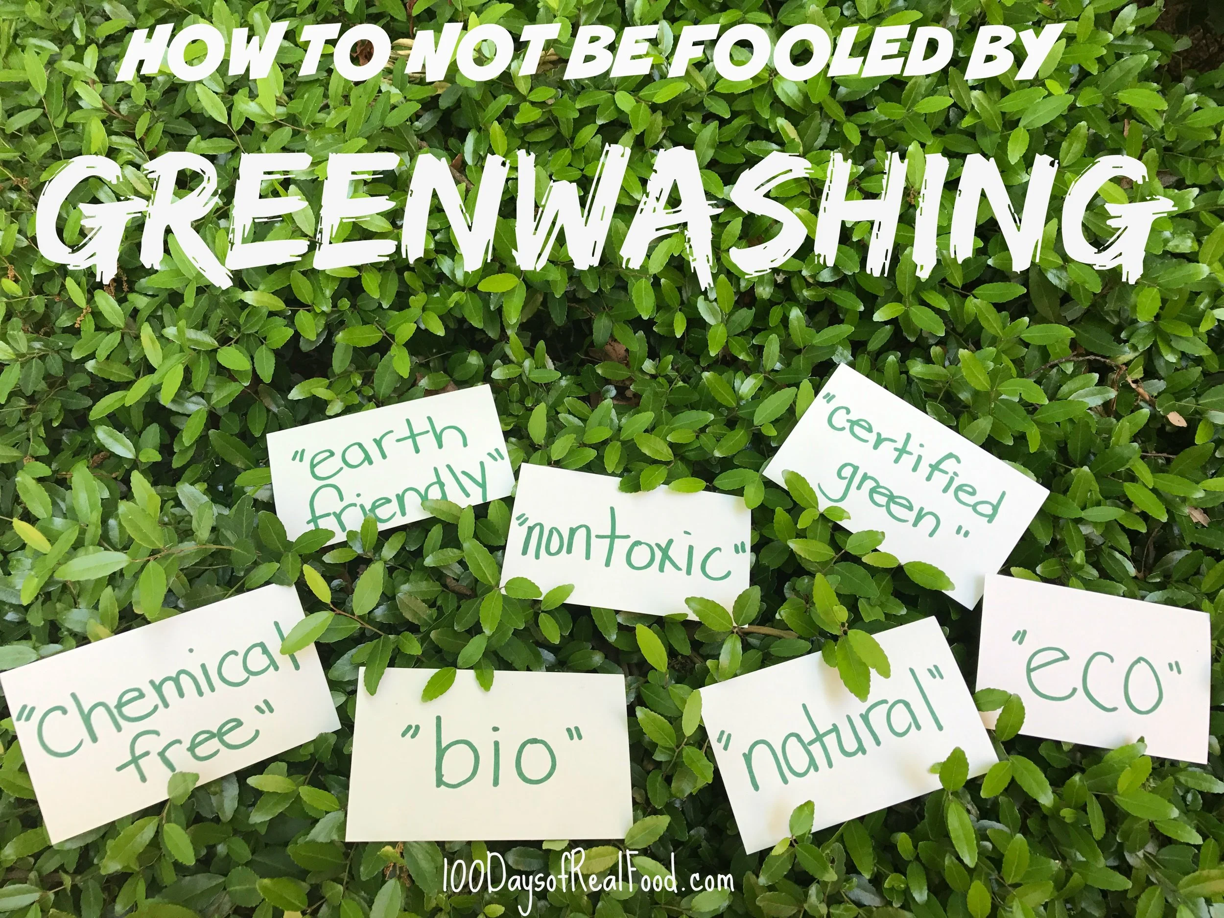 Greenwash and eco-tourism