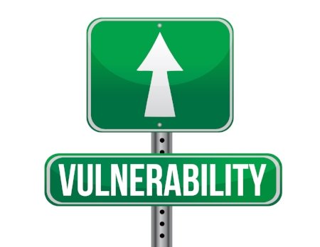 Vulnerability Sign.jpeg