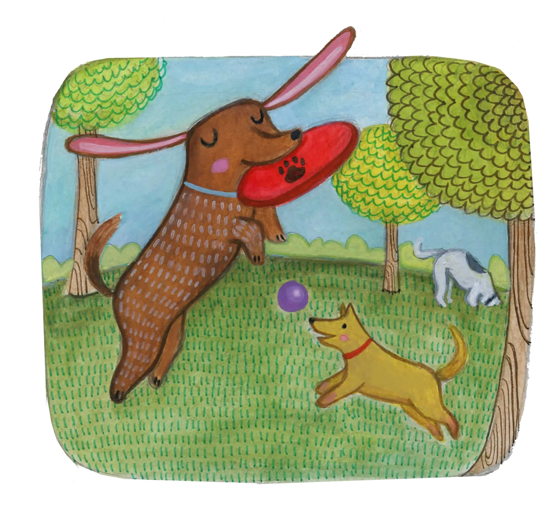 dogparkfinal.jpg