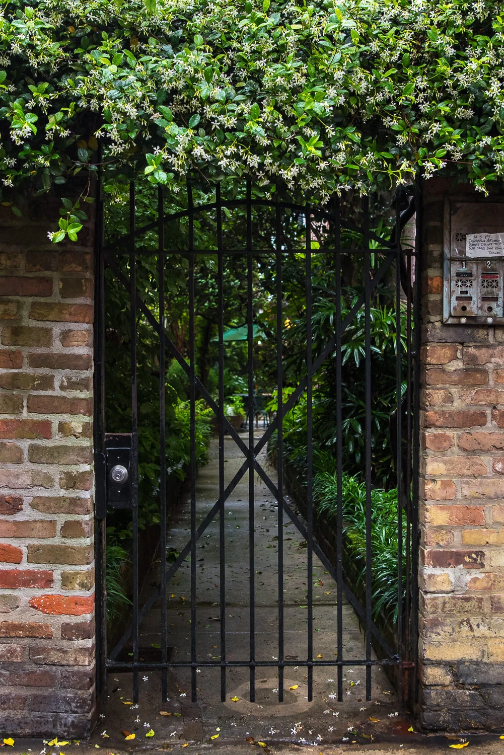 New-Orleans-Courtyards-5.jpg