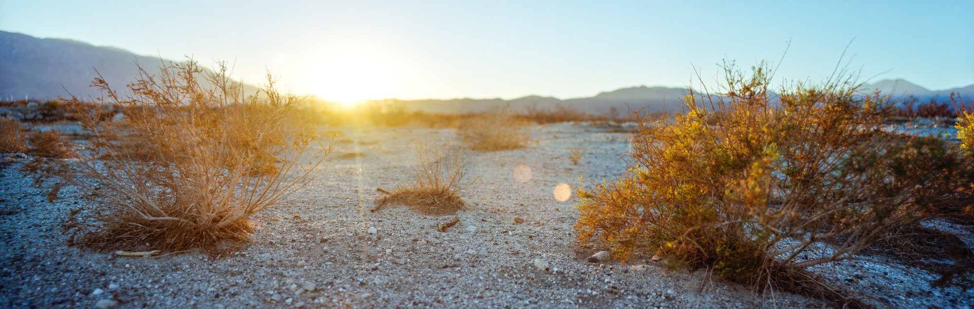 Joshua-Tree-6.JPG