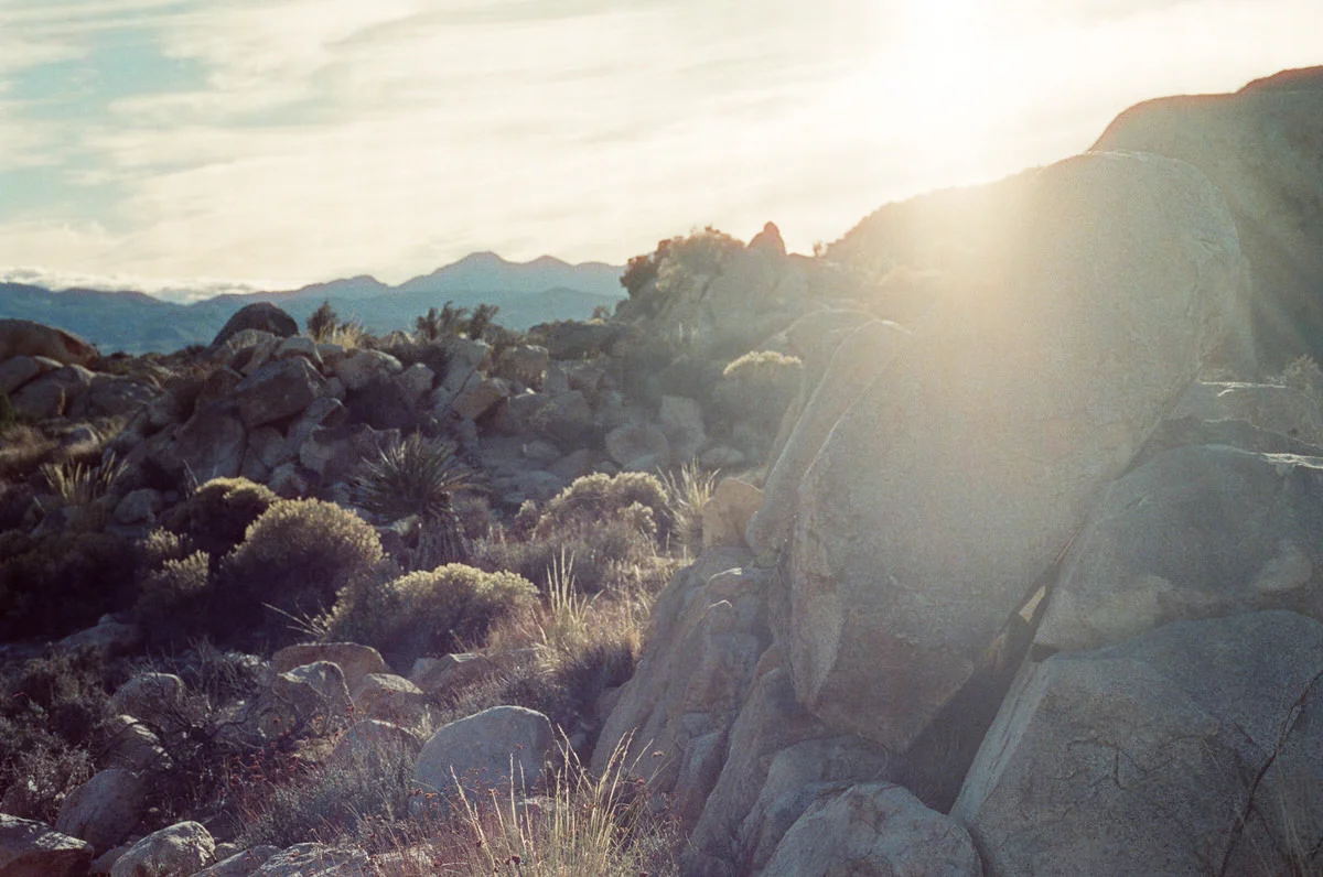 adam-ottke-joshua-tree-16.jpg
