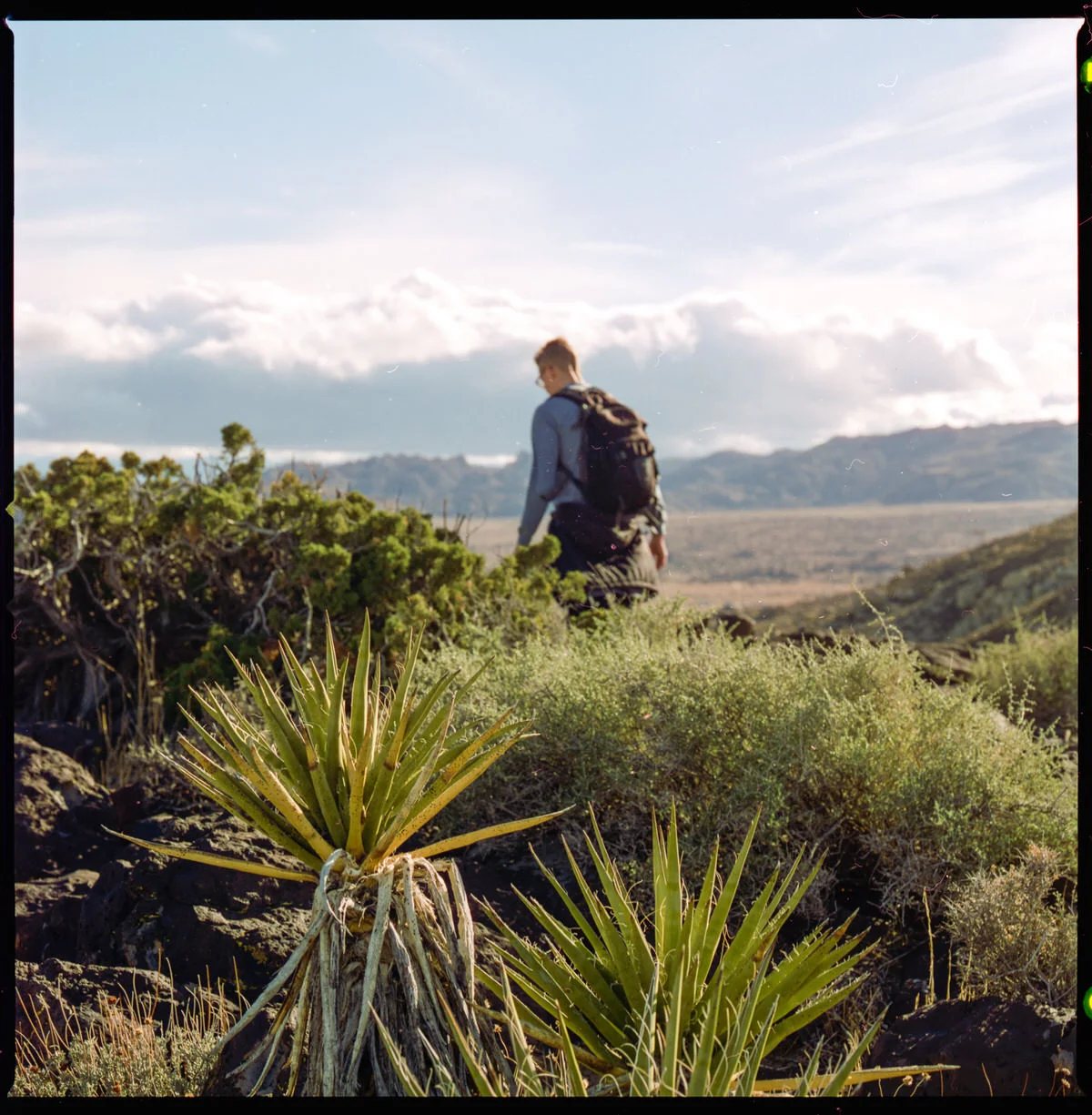 adam-ottke-joshua-tree-34.jpg