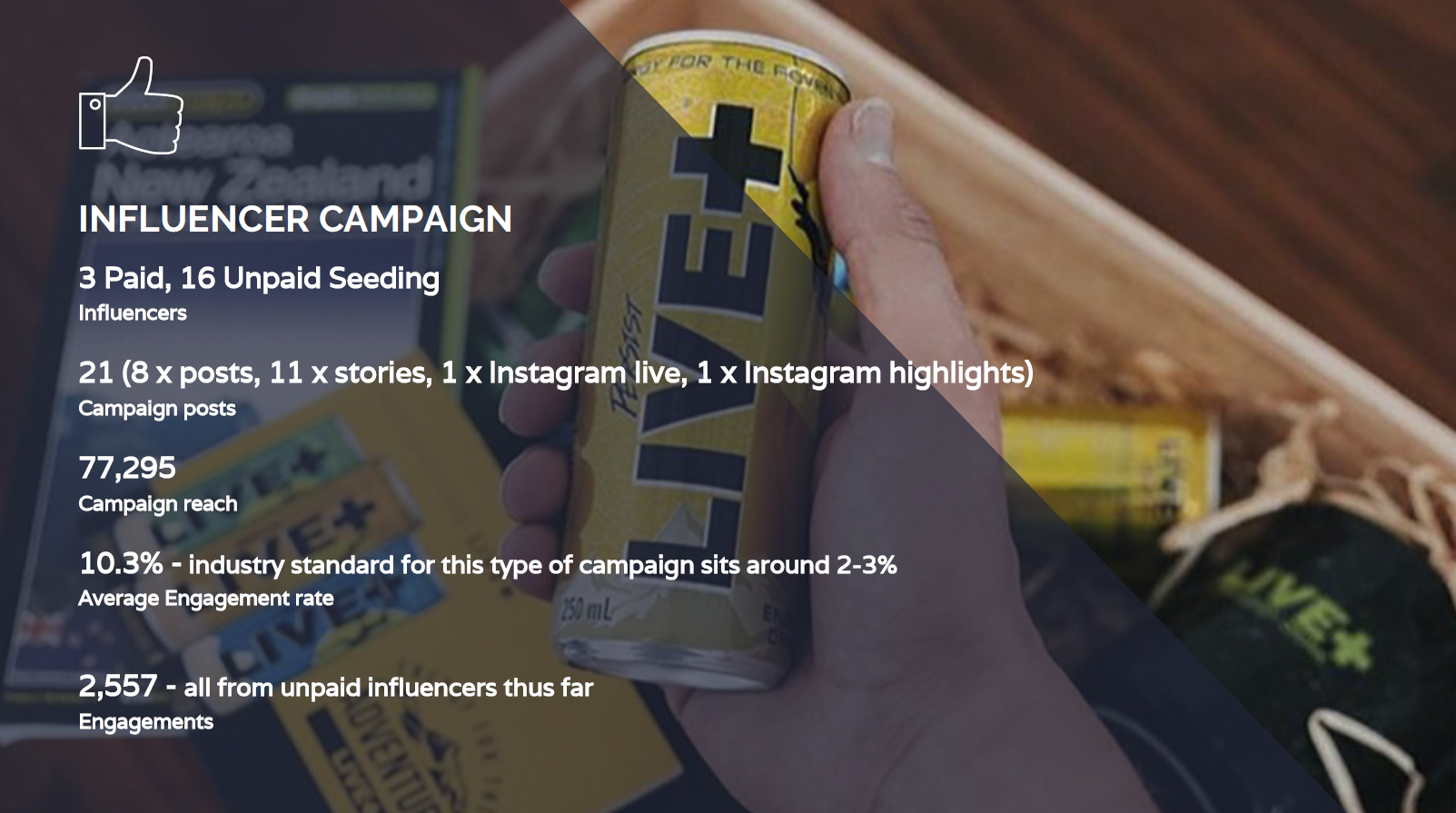 influencer campaign.PNG