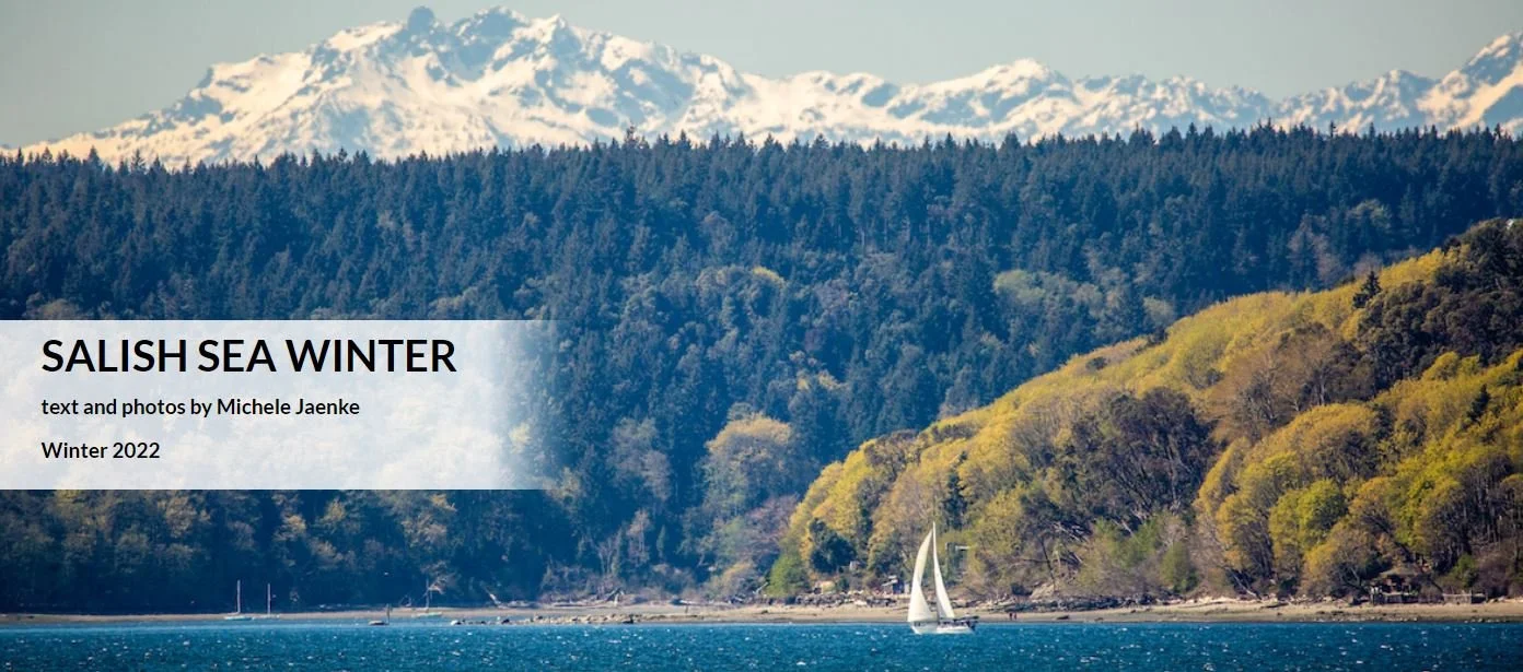 Salish Sea Winter | Salish Magazine 