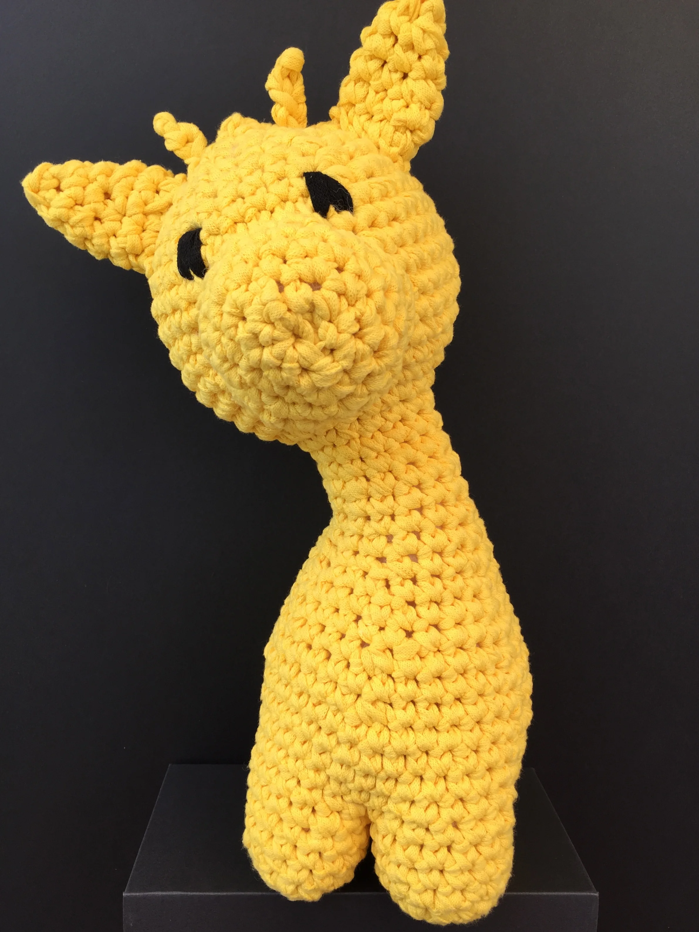 Hooked on Giraffe Ziggy