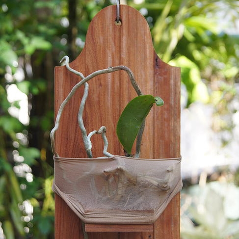 Orchid Hanger