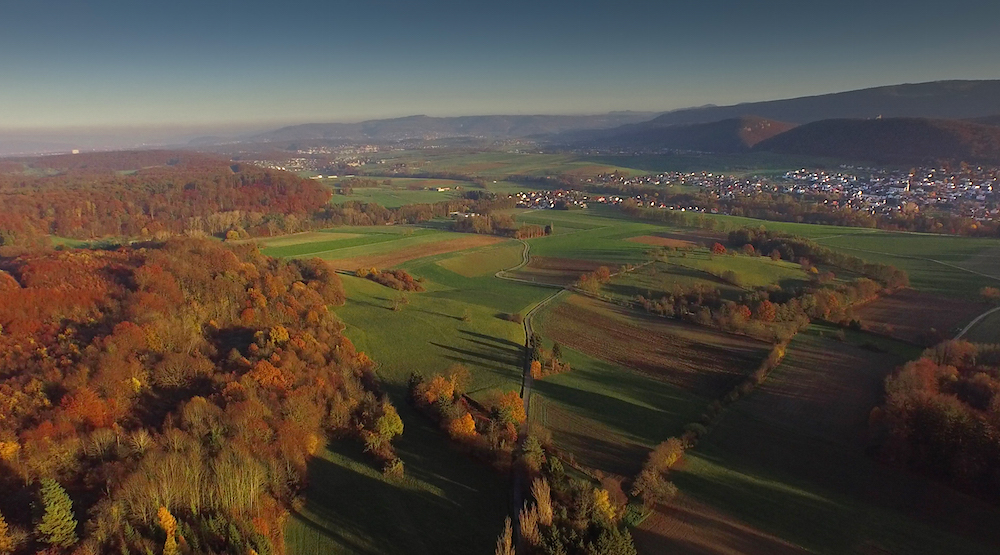 Les Alentours Coeur de Sundgau.jpg