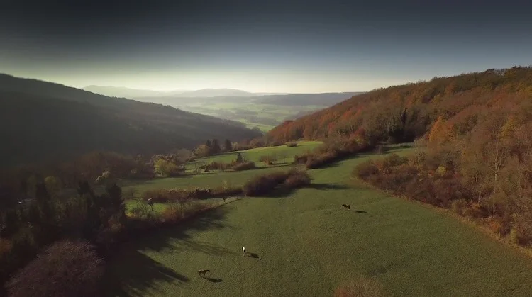 Coeur de Sundgau, les Alentours.jpg