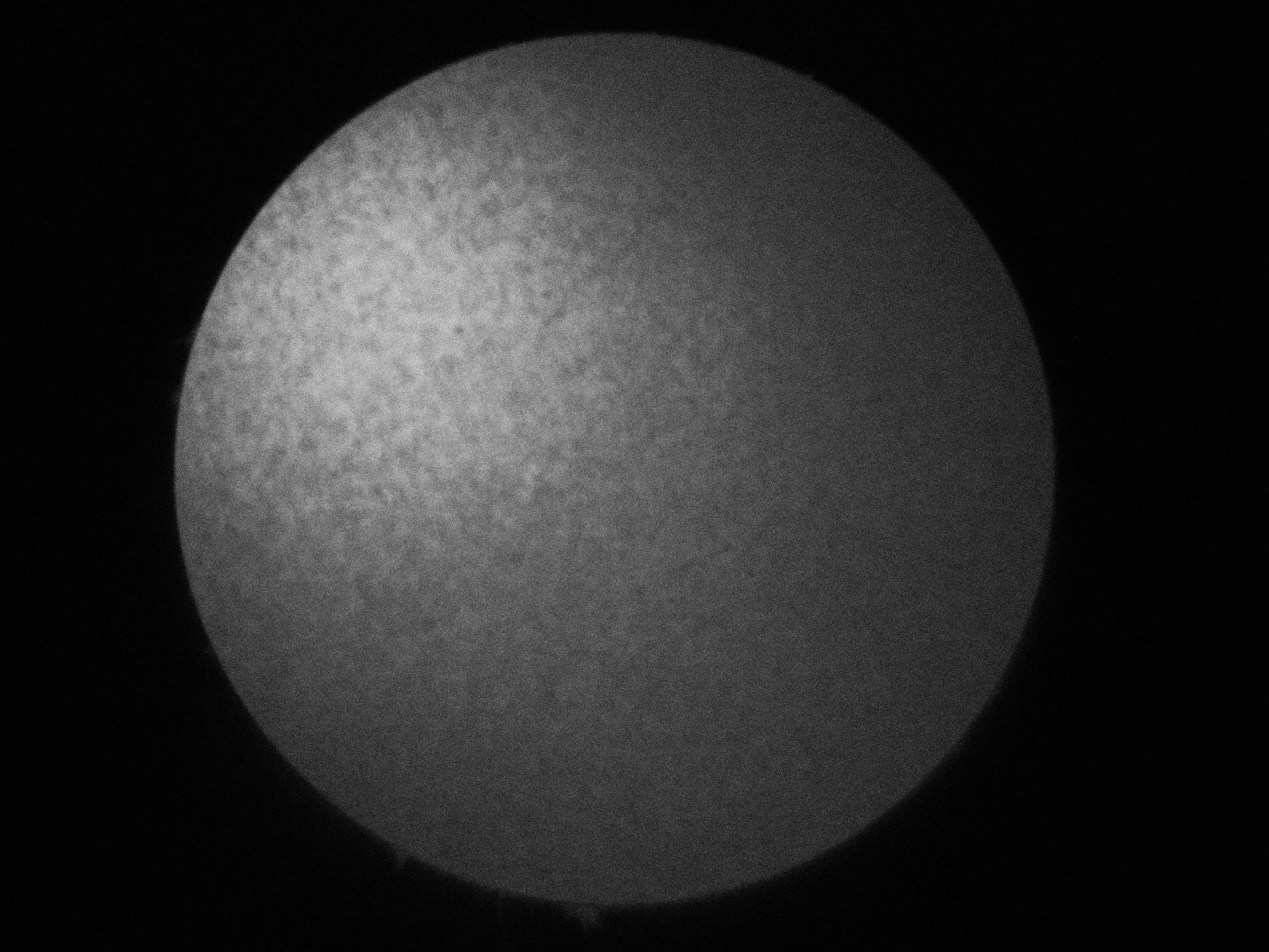 P8230641.jpg