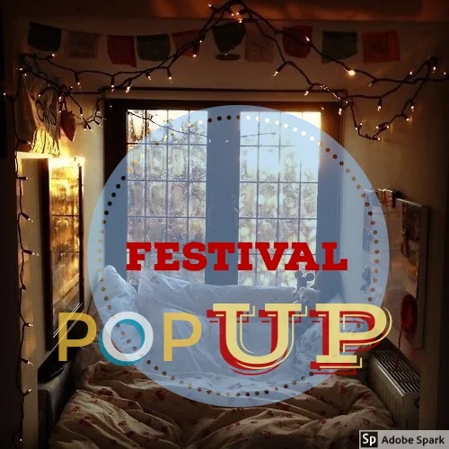 Pop Up Festival Cameral sau cum aduci arta la tine acasa