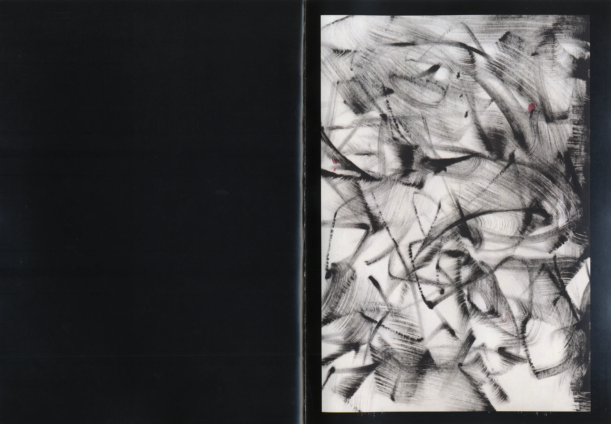 Fig. —4 BW plate