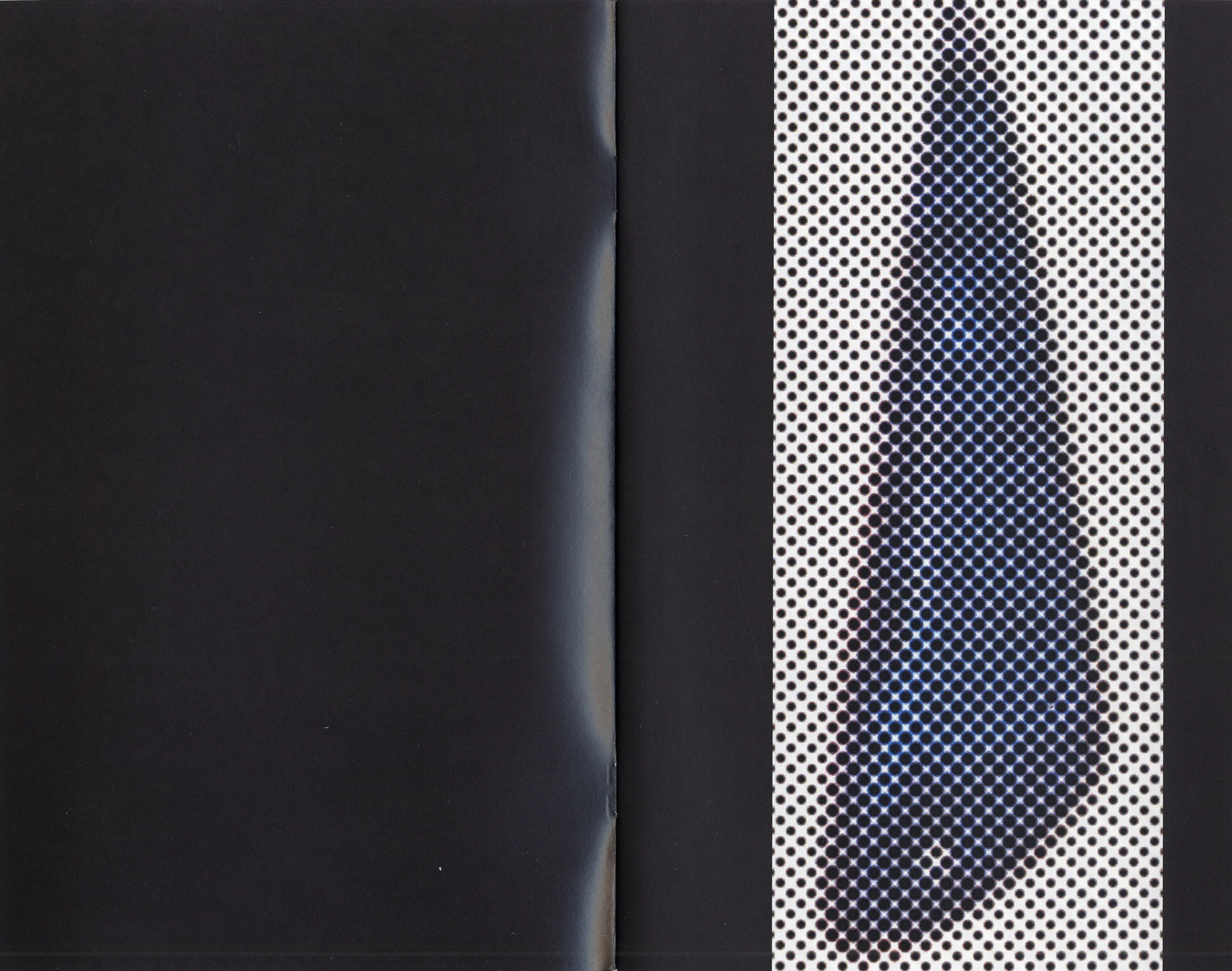 Fig. —1 Color plate Open edition 24pp, saddle-stitched 19.05cm × 12.065cm, 7.5″ × 4.75″ Published and distributed by FIST Cover design: Dante Carlos