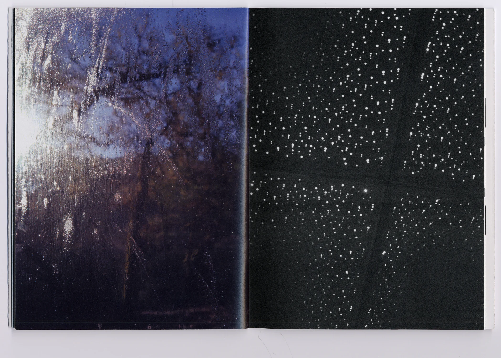 Fig. —10 Color plate Photography by Way Wza