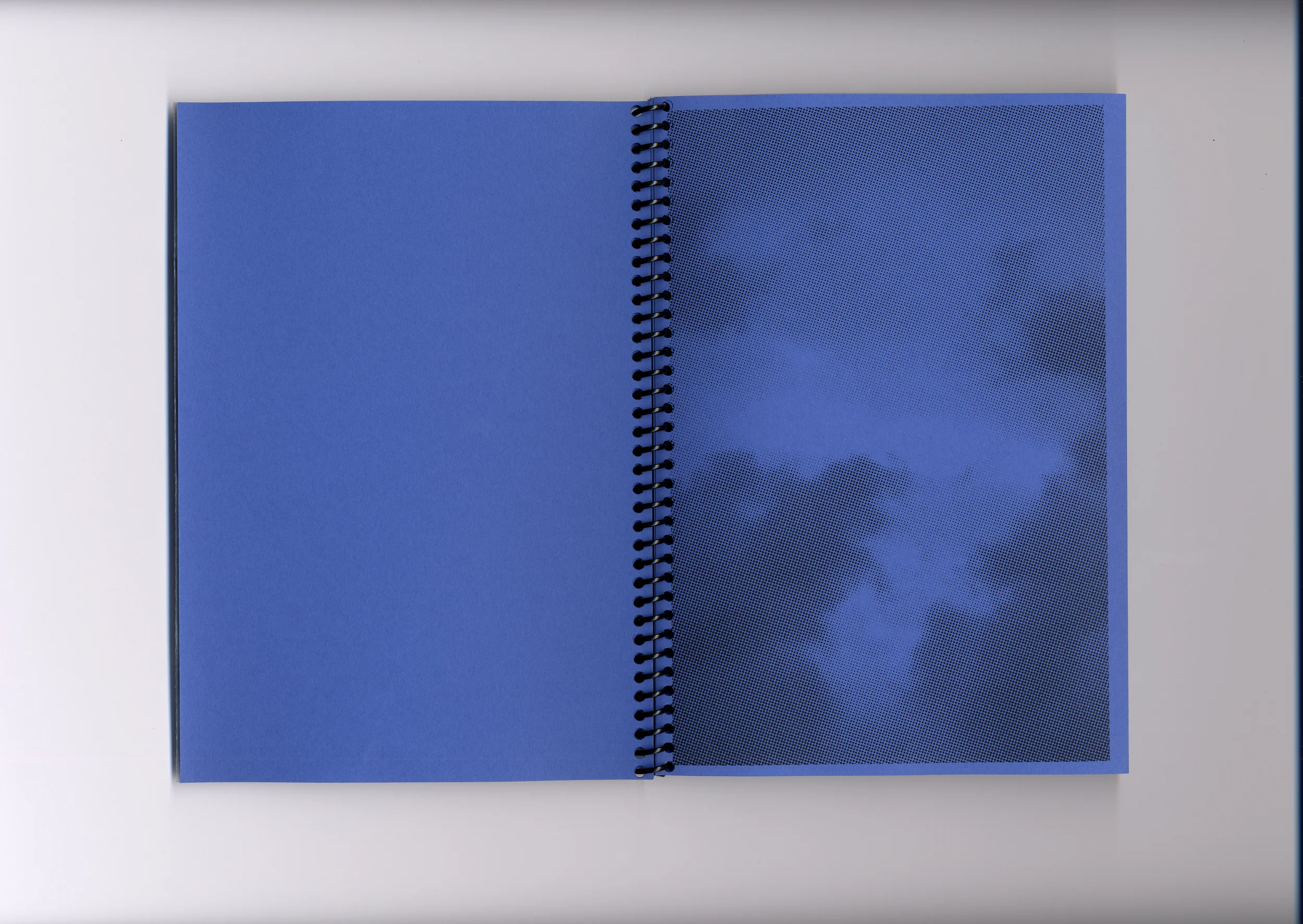   Fig. —4   Blue color plate  