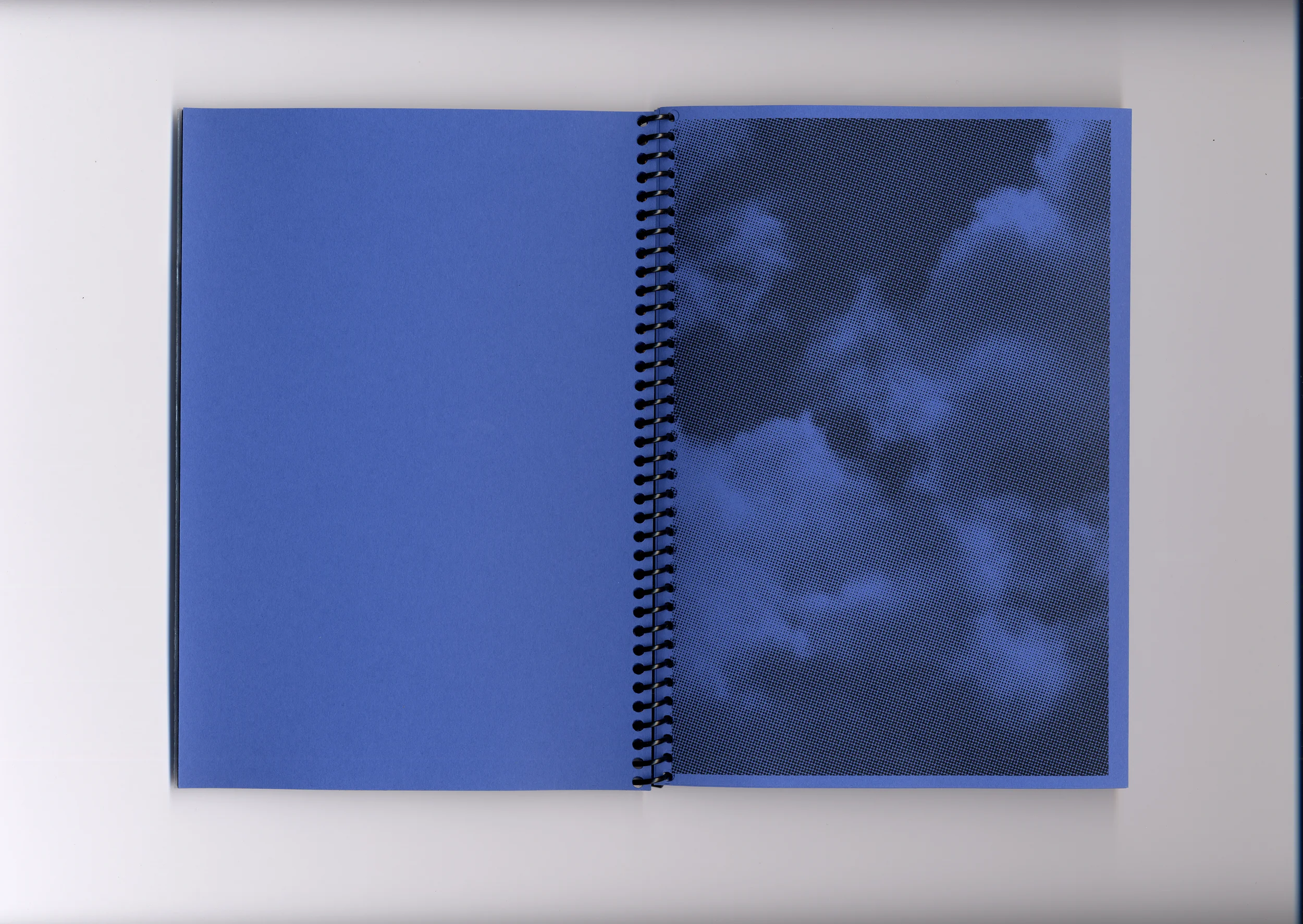   Fig. —8   Blue color plate  