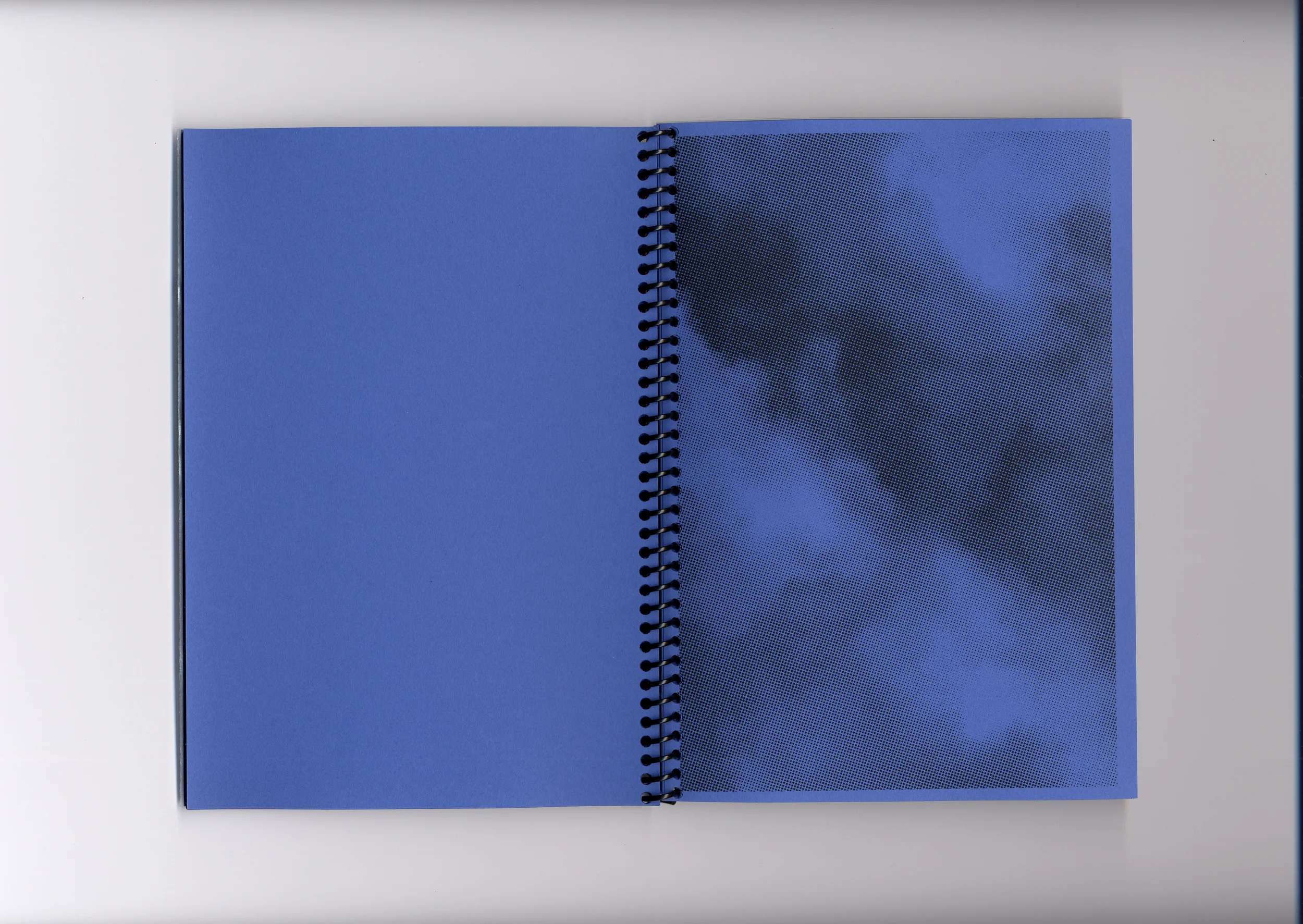   Fig. —9   Blue color plate  
