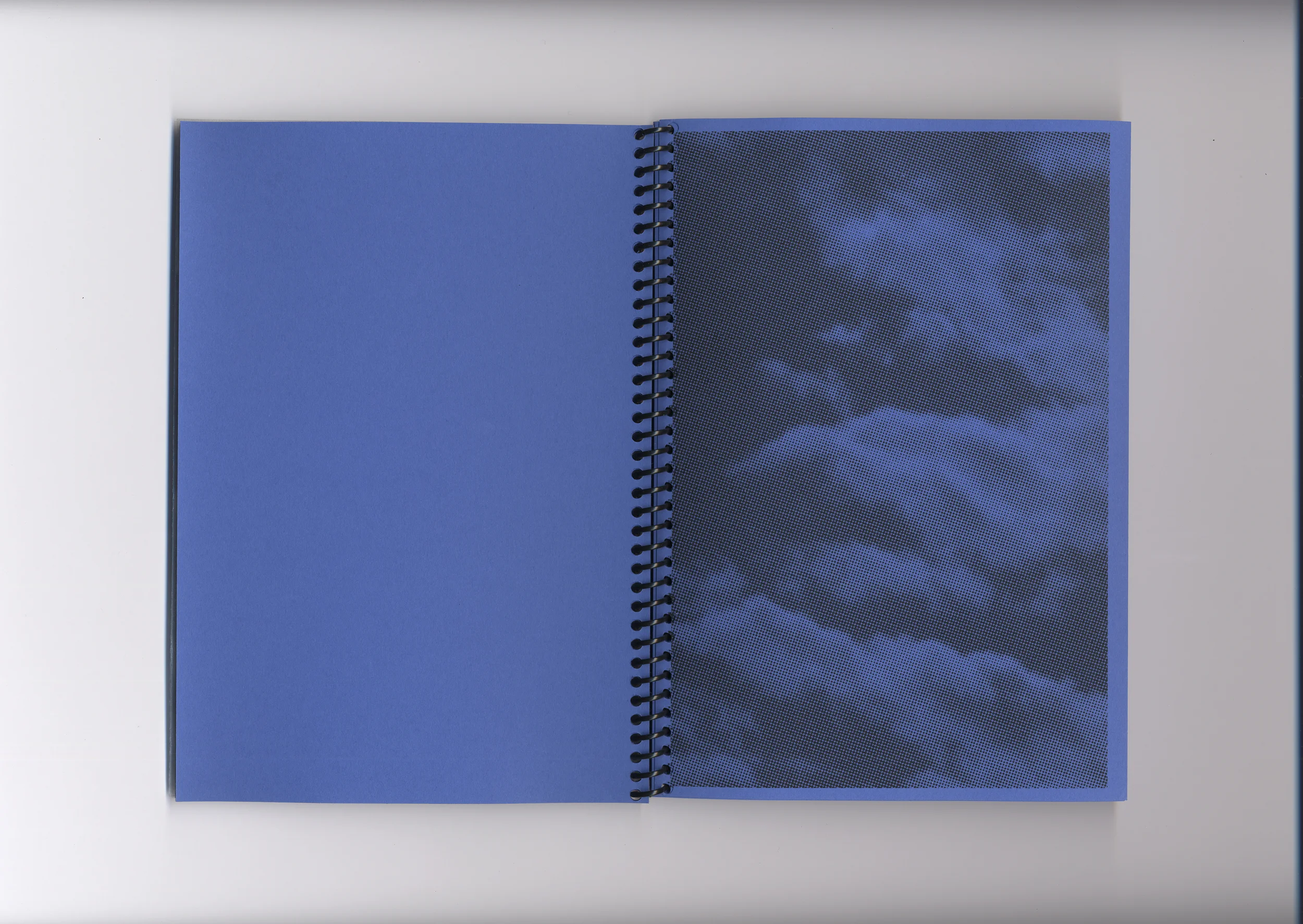   Fig. —10   Blue color plate  