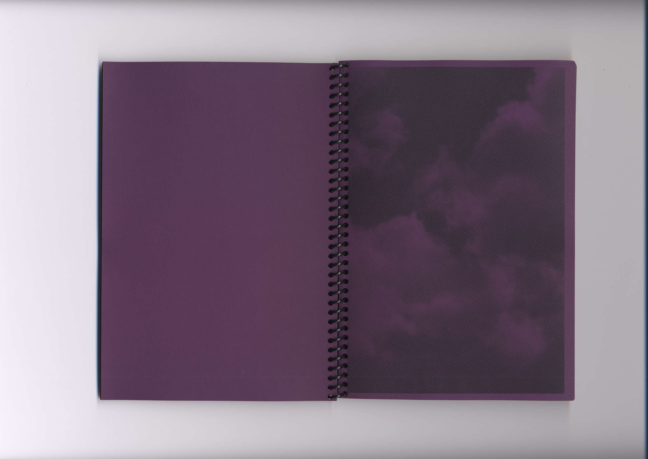   Fig. —3   Purple color plate  