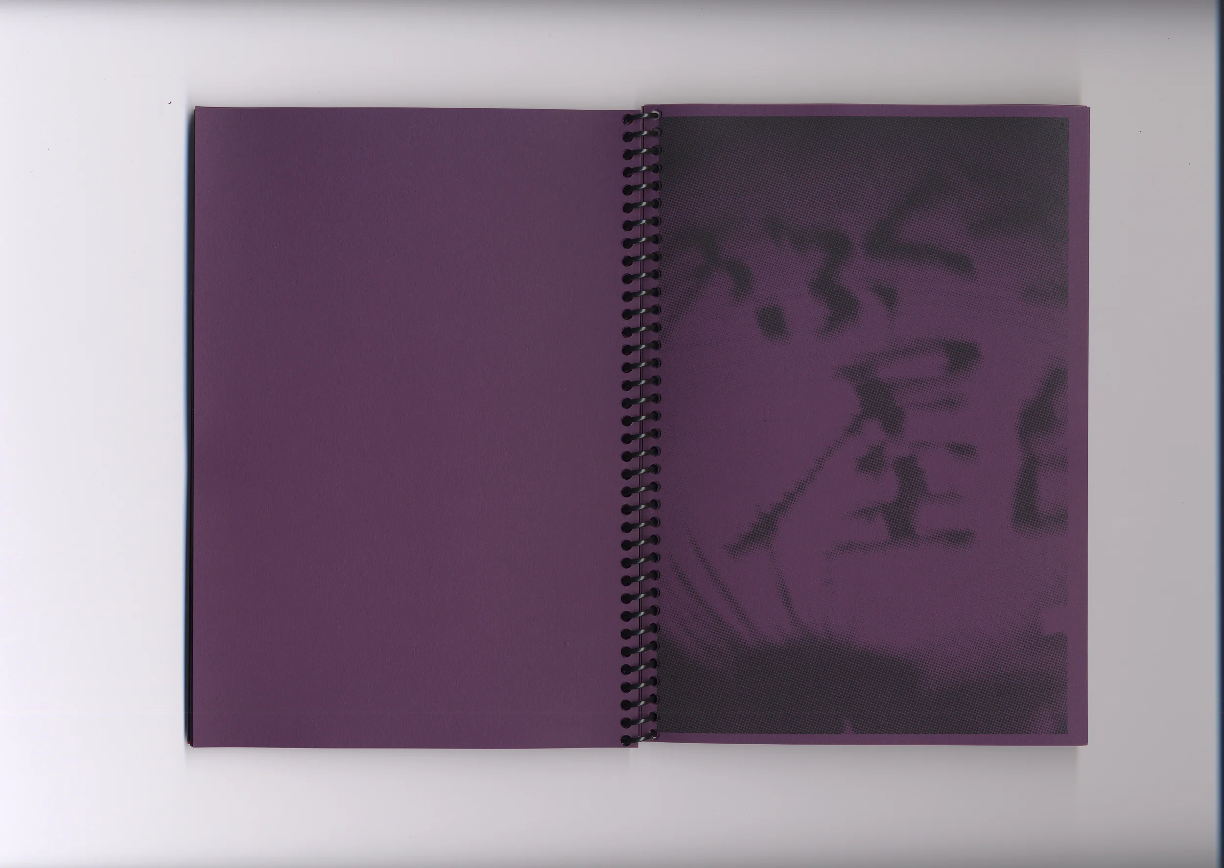   Fig. —5   Purple color plate  