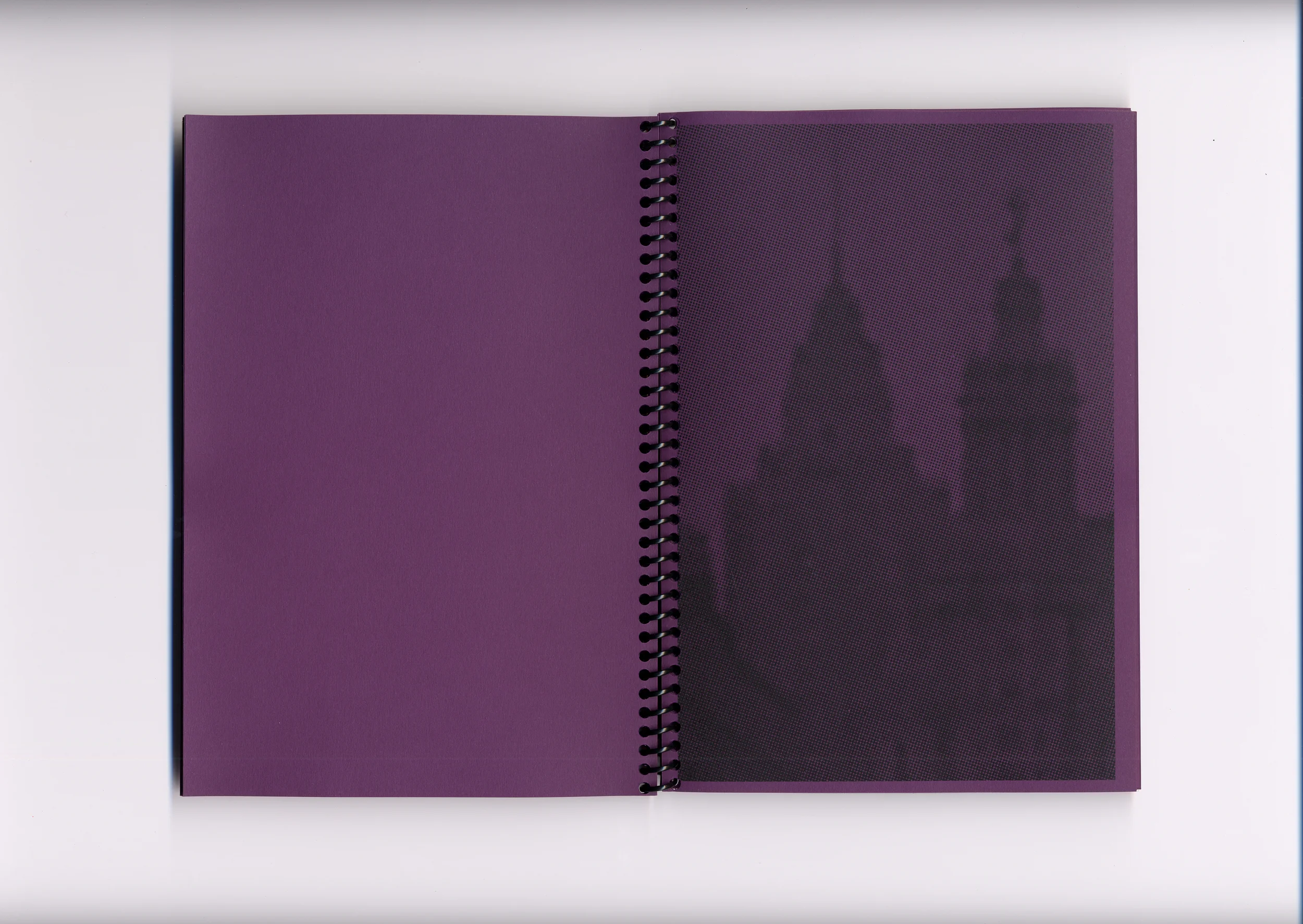   Fig. —7   Purple color plate  