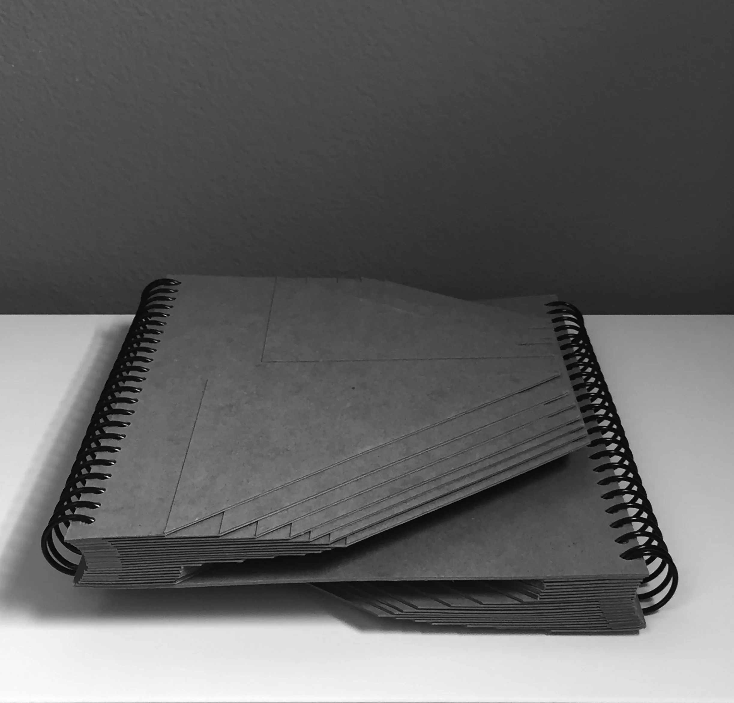 Fig. —6 BW plate