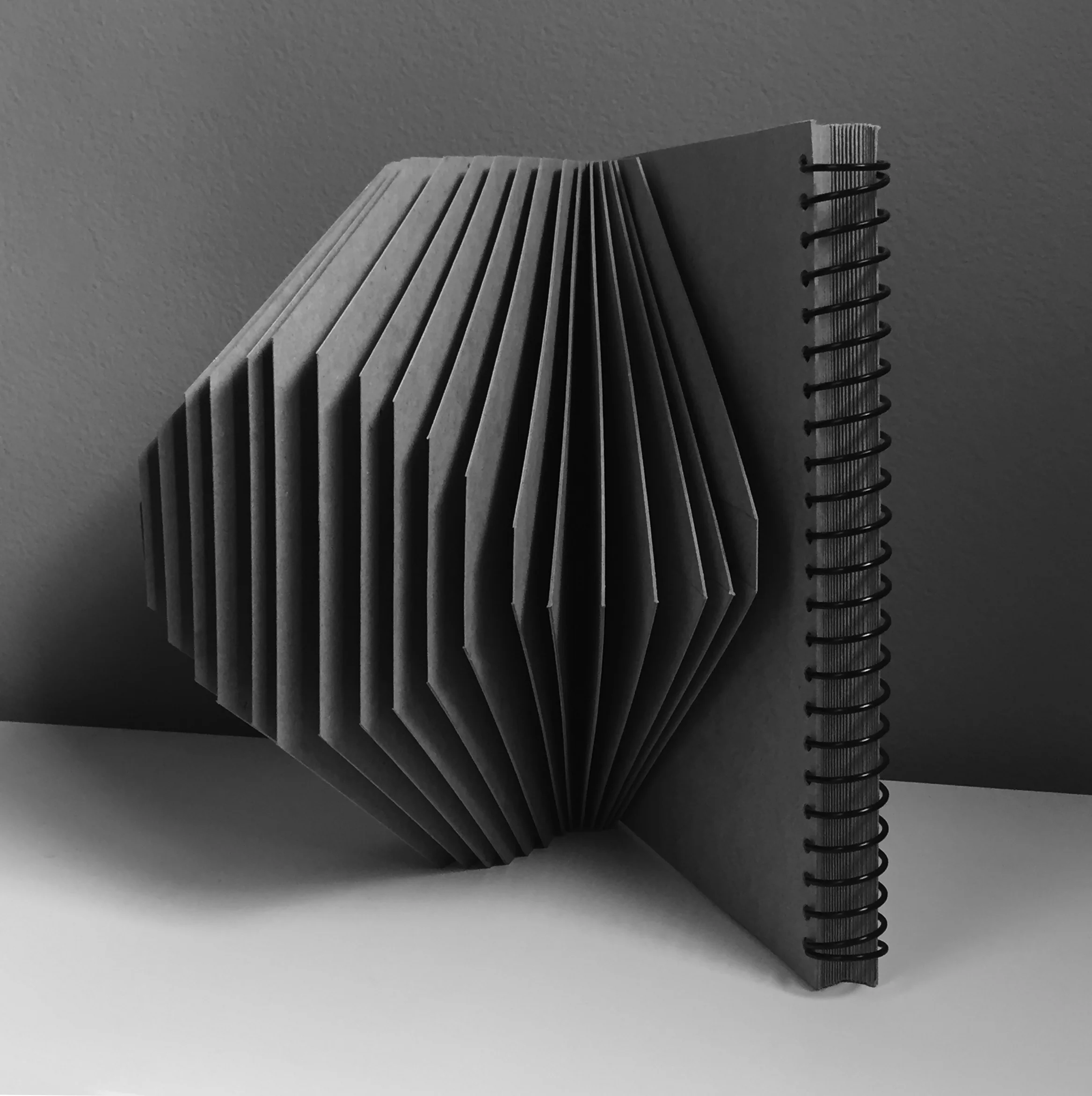 Fig. —2 BW plate Acquisitions: info@fistbiz.com