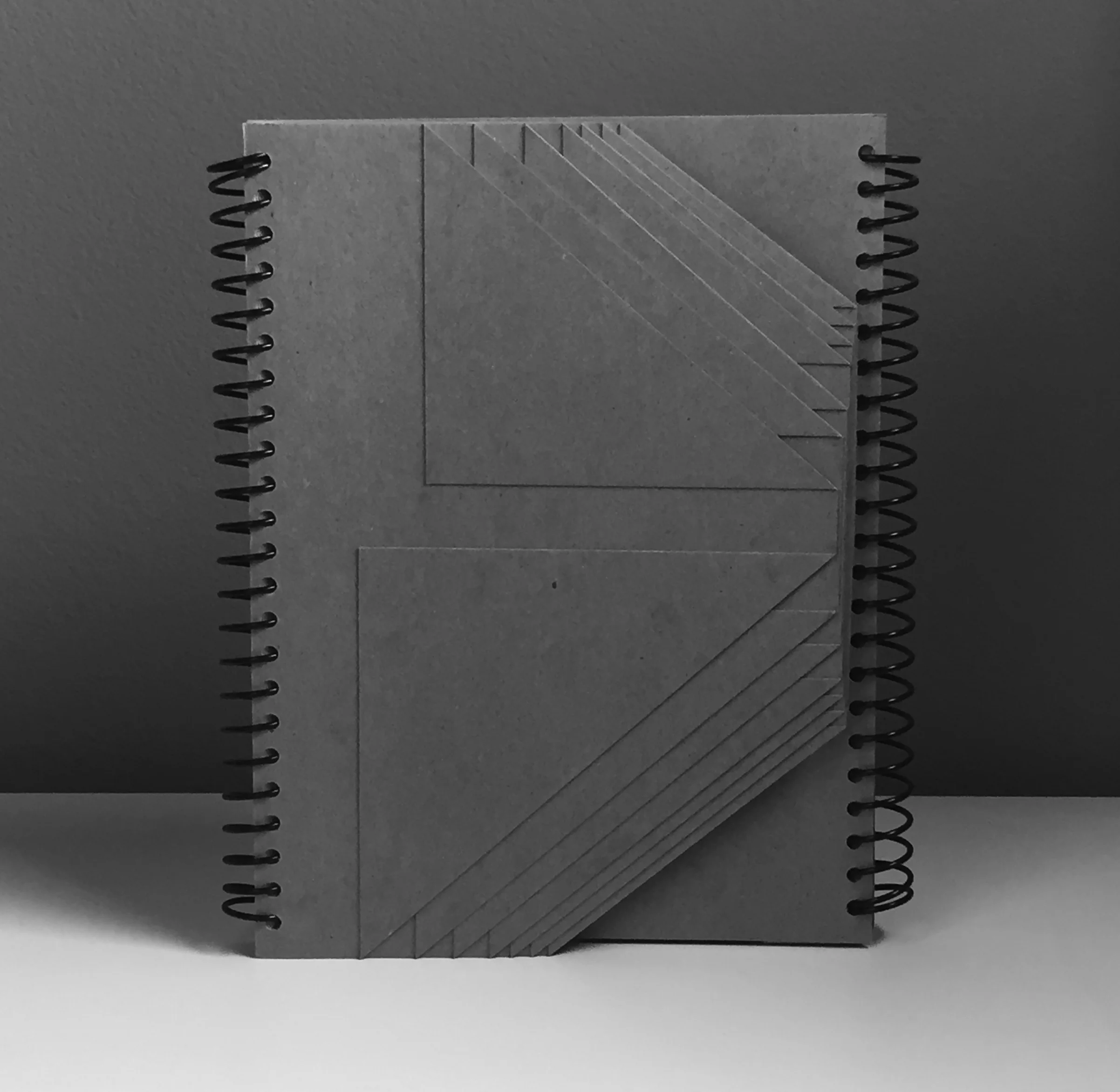 Fig. —3 BW plate