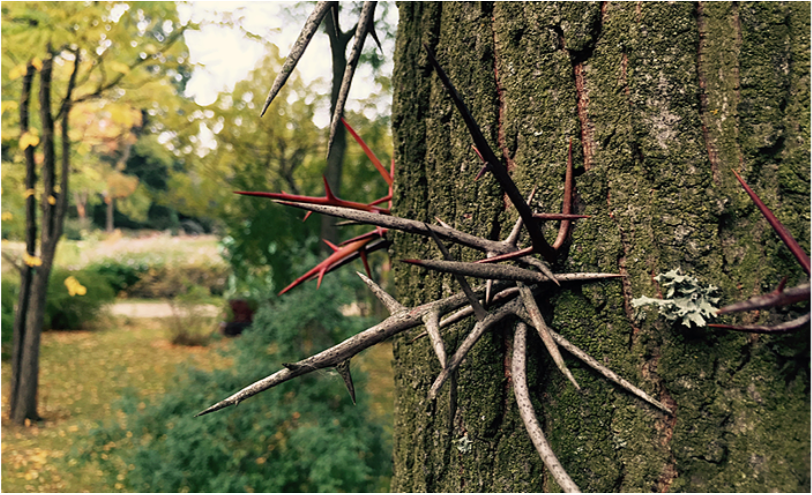 Skader i fritiden.PNG