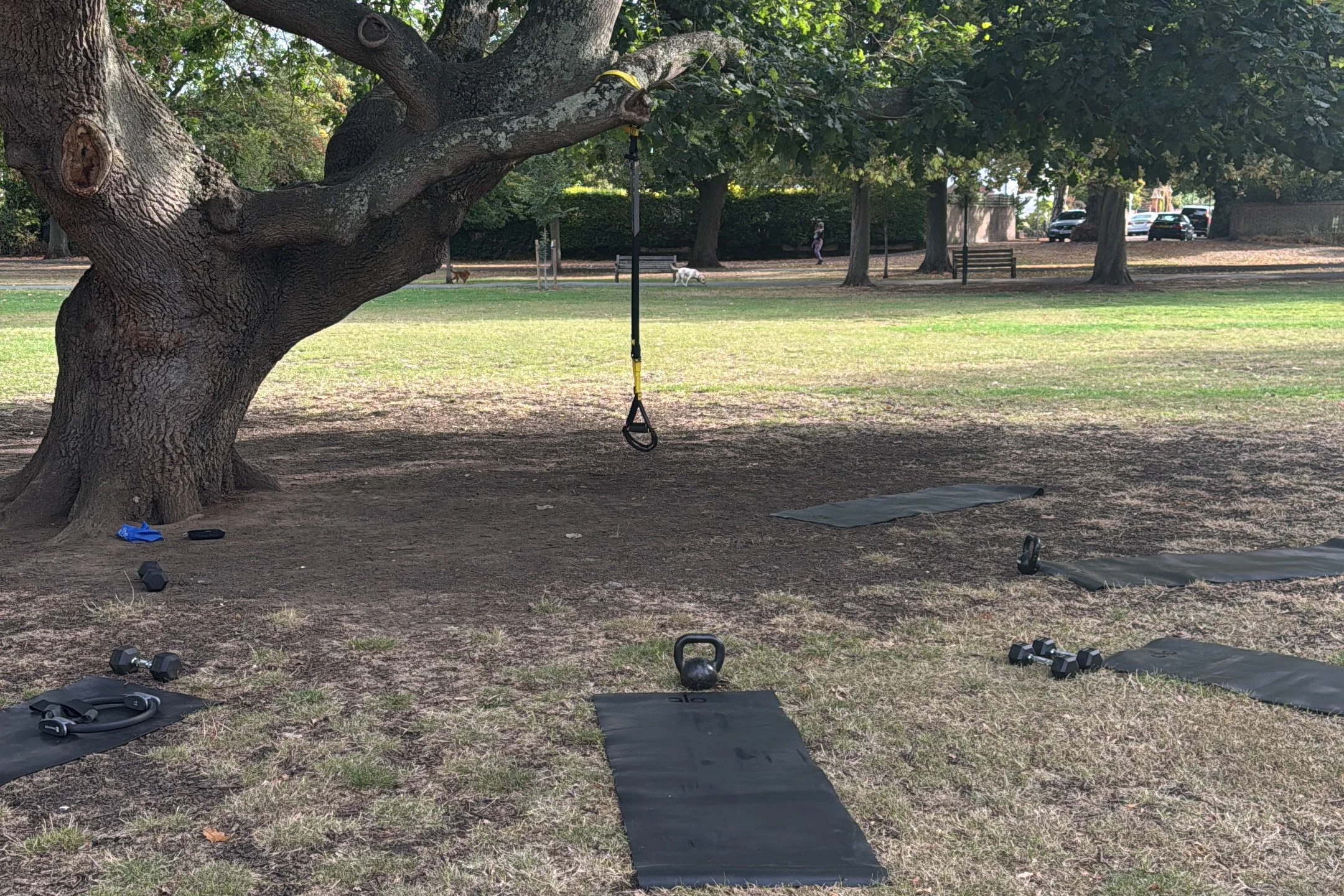 Barnes workout sessions