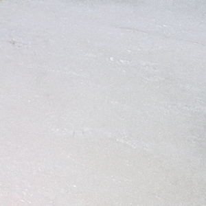 Organic White