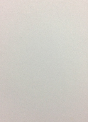 Eleganza White Matte