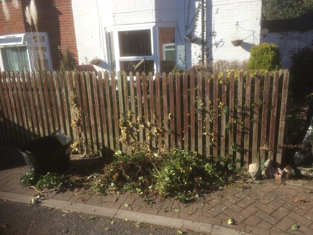 Before (2).jpg