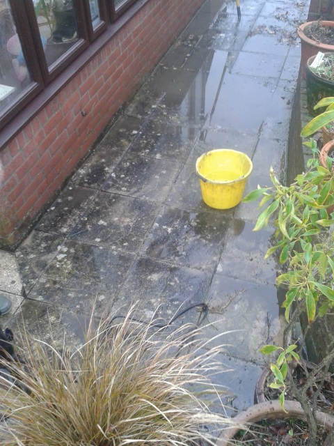 Patio before.jpg