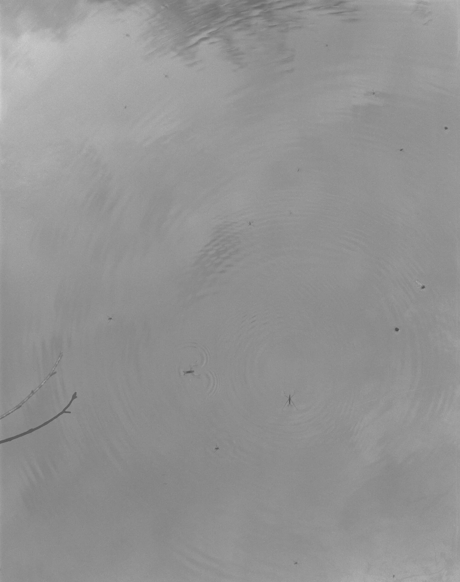 A CERTAIN MOVEMENT — SAM LAUGHLIN