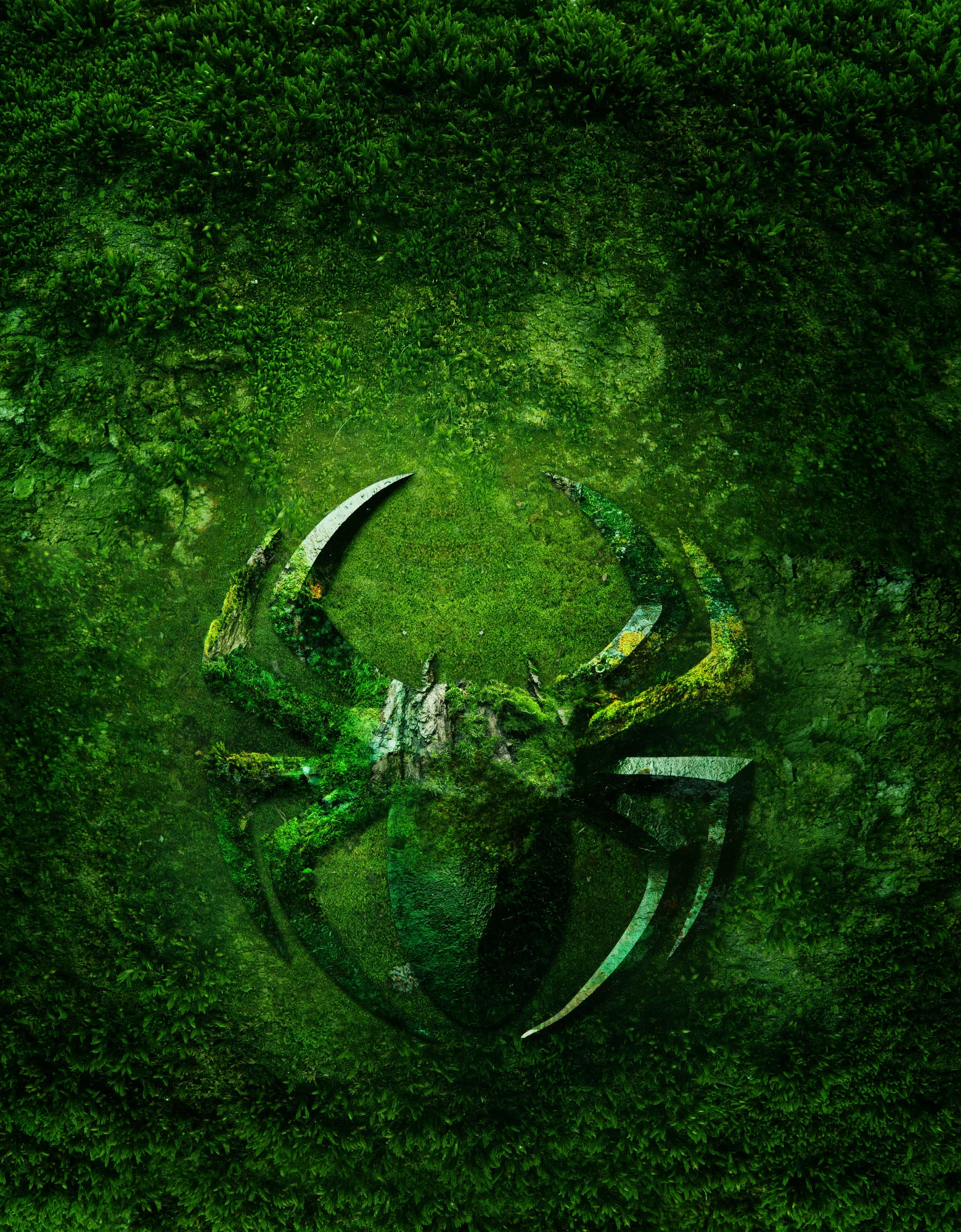 storm-fabio-timpanaro-david- dalglish3-2016.jpg