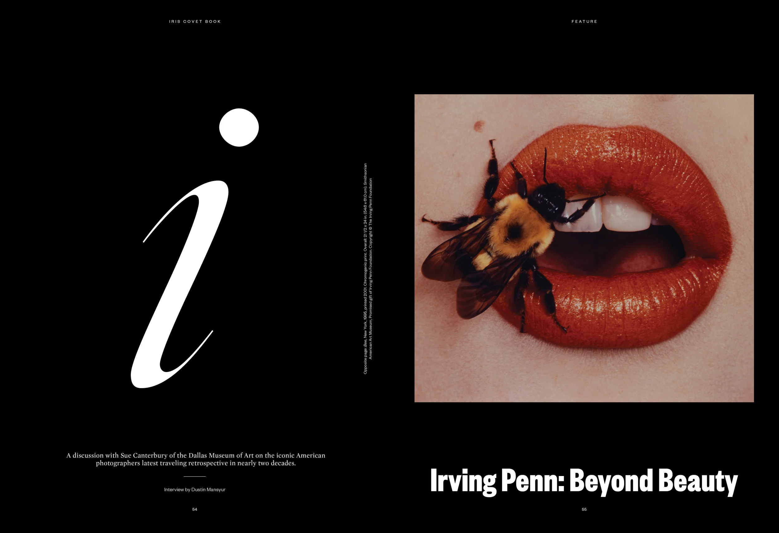 IRIS02_LAYOUT_IRVING_PENN.jpg