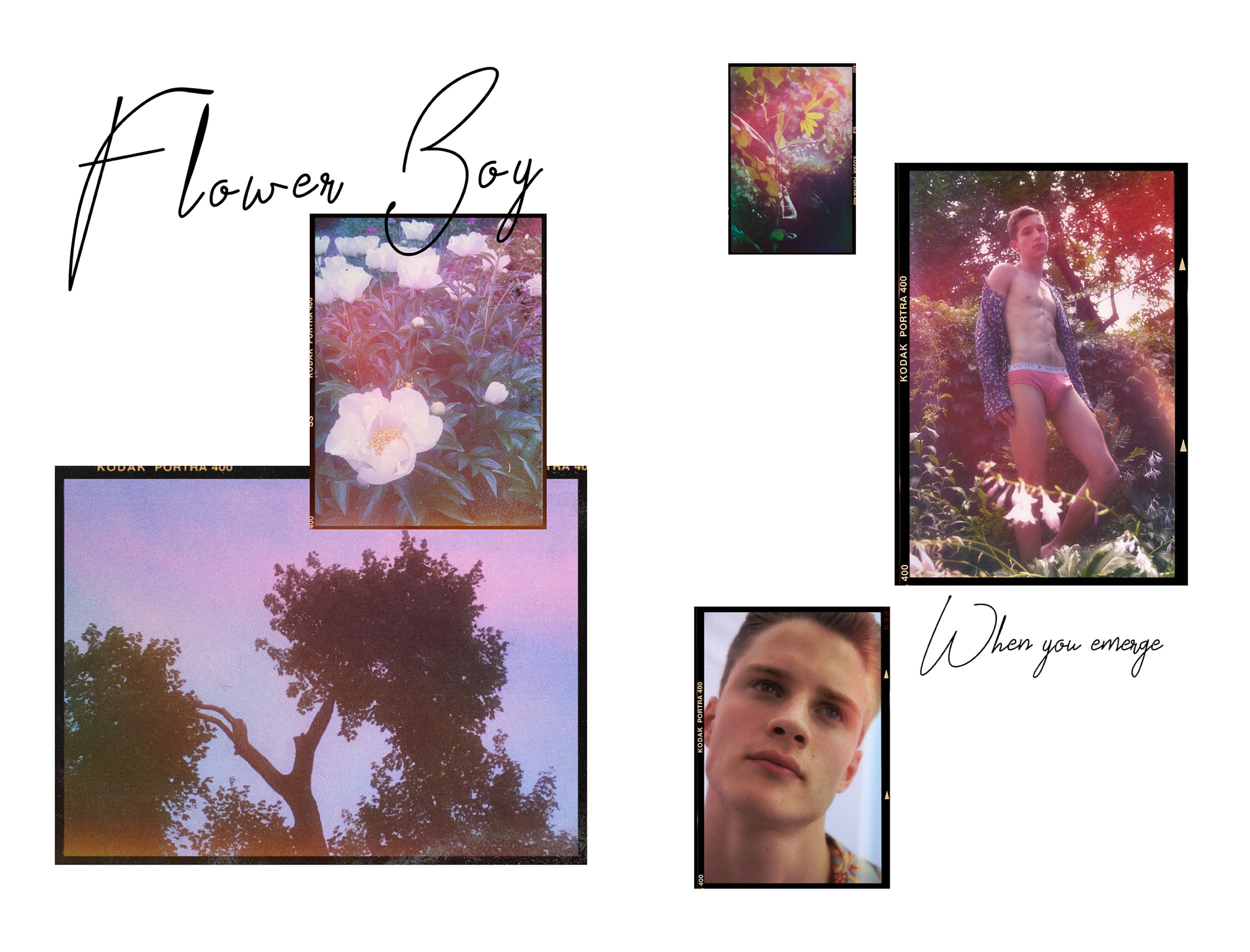 Flower Boy Website Layout.jpg