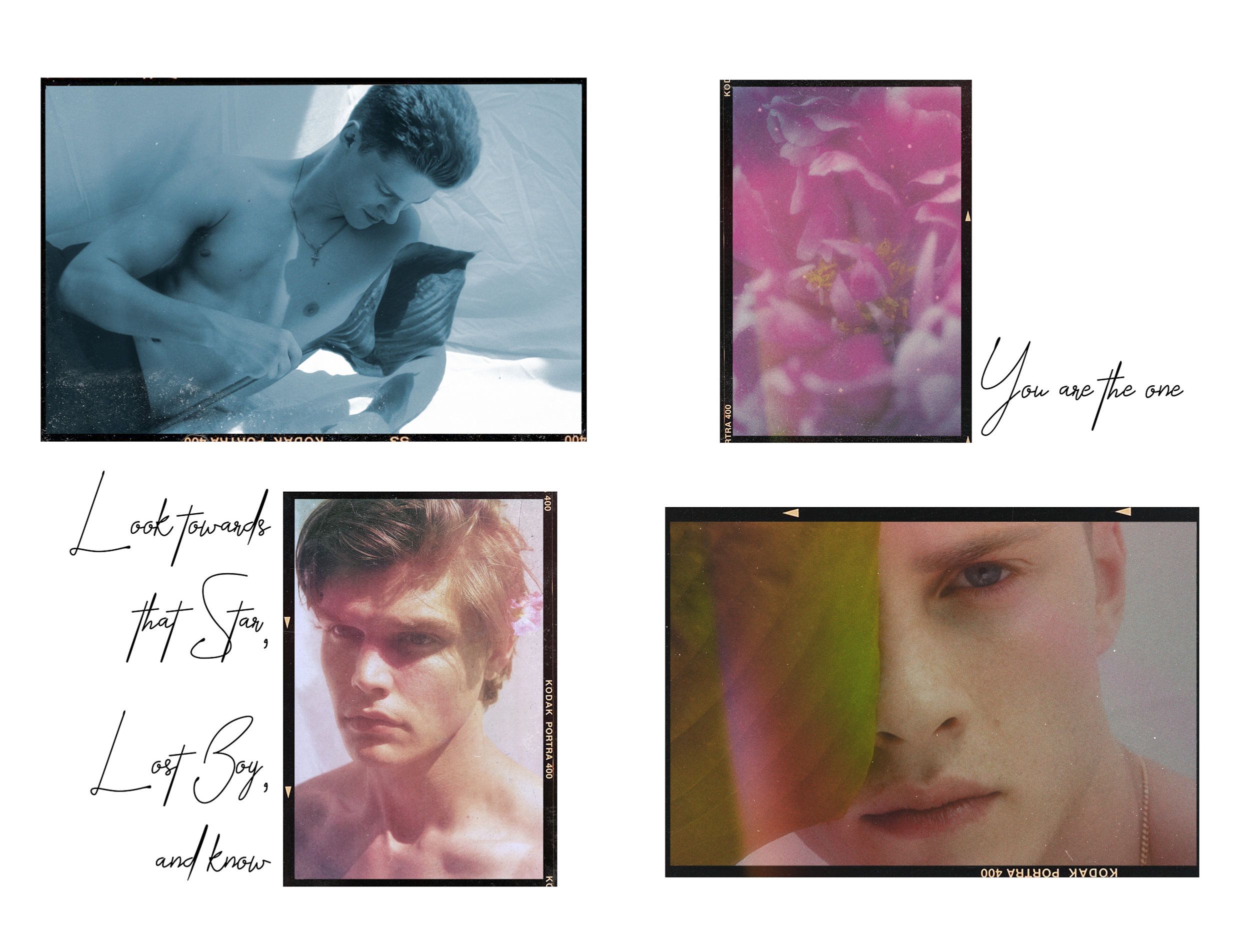 Flower Boy Website Layout6.jpg