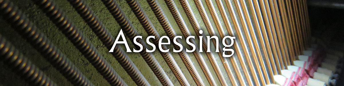 Assessing-Banner-150d-1200x300.png