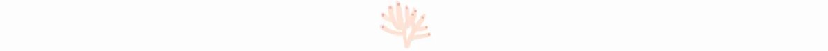 separation AOUT 2.jpg