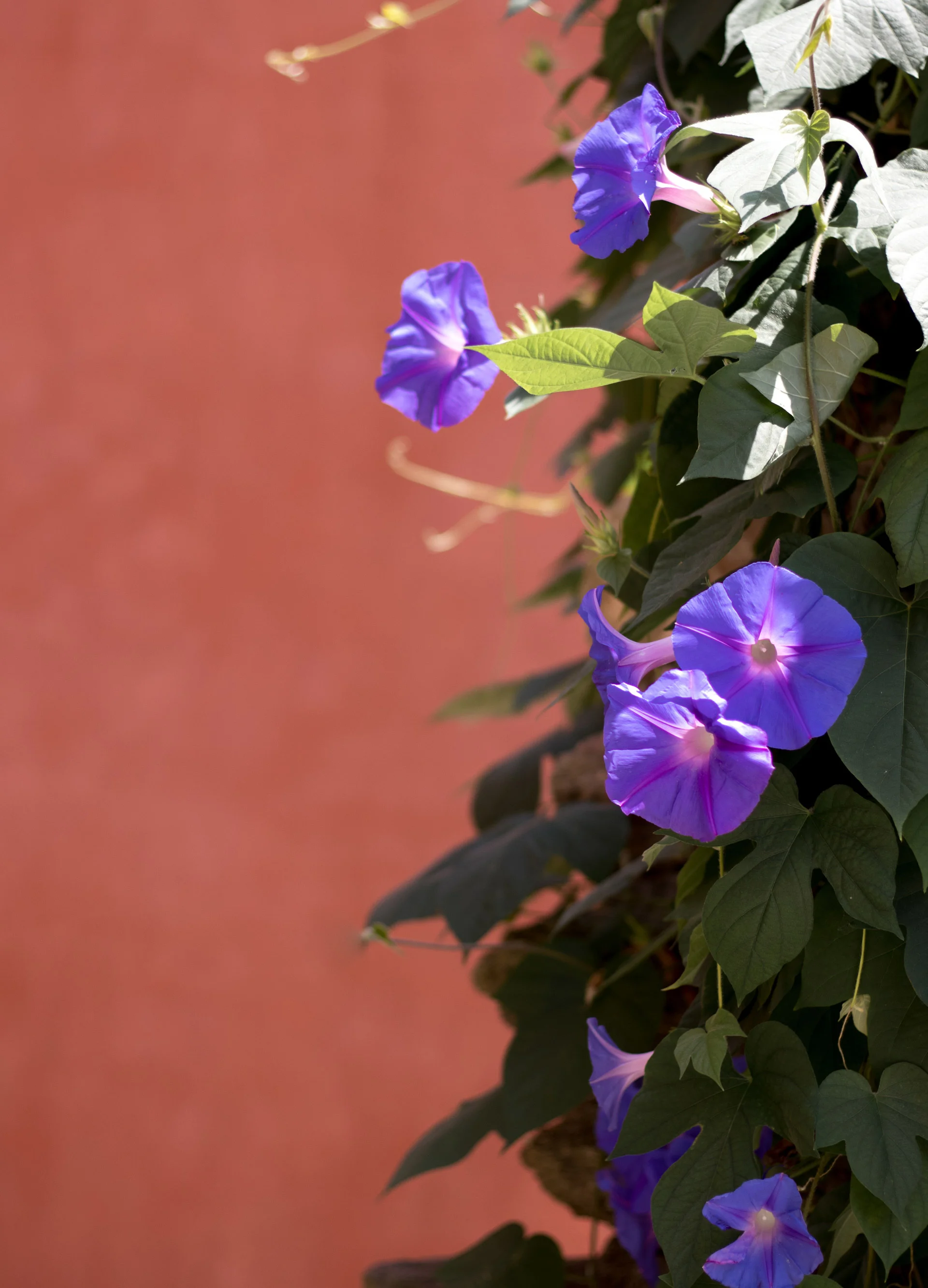 IMG_5462 bis.jpg
